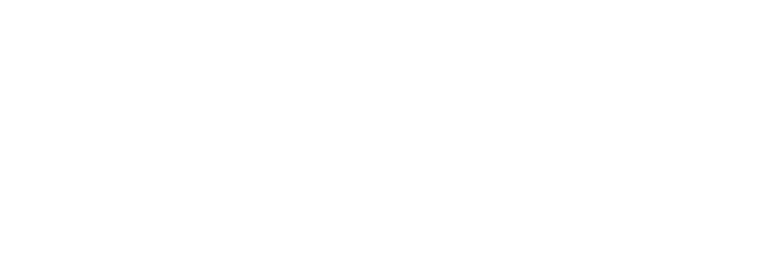 Anthay Electr&oacute;nica